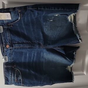 Size 18w time and tru distressed Jean shorts